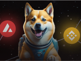 Coin dogeverse