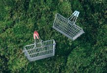 Sustainable,Lifestyle.,Top,View,Of,Supermarket,Shopping,Basket,On,Green