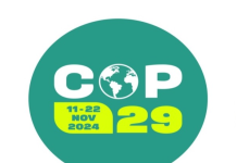 COP 29