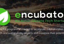 Encubator